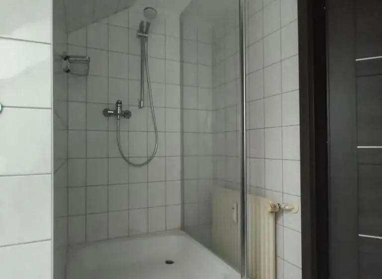 バスルーム共有のシングルスタンダード, Pension Goldenes Vogtland