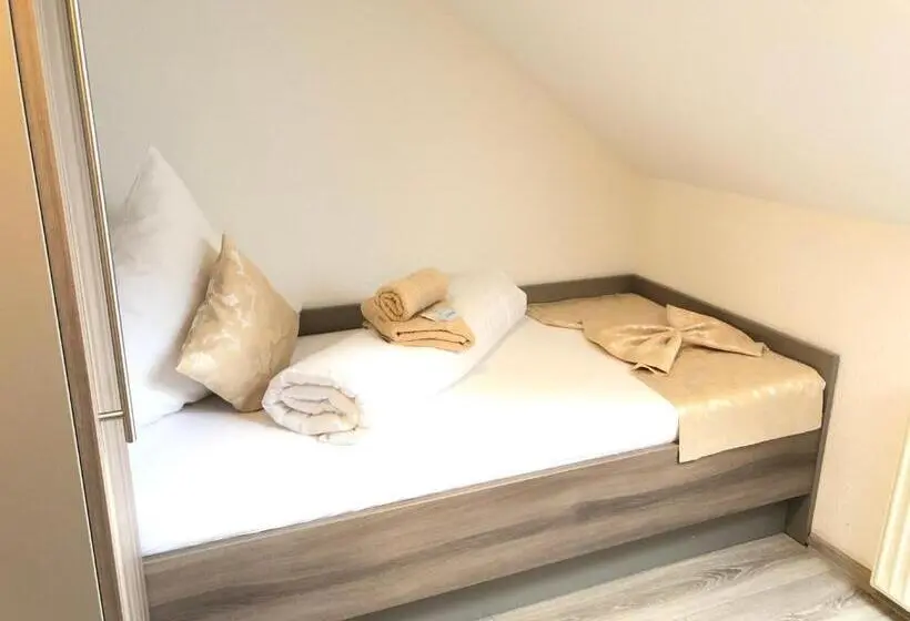 バスルーム共有のシングルスタンダード, Pension Goldenes Vogtland