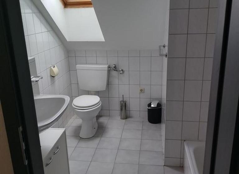 标准单人间共用浴室, Pension Goldenes Vogtland