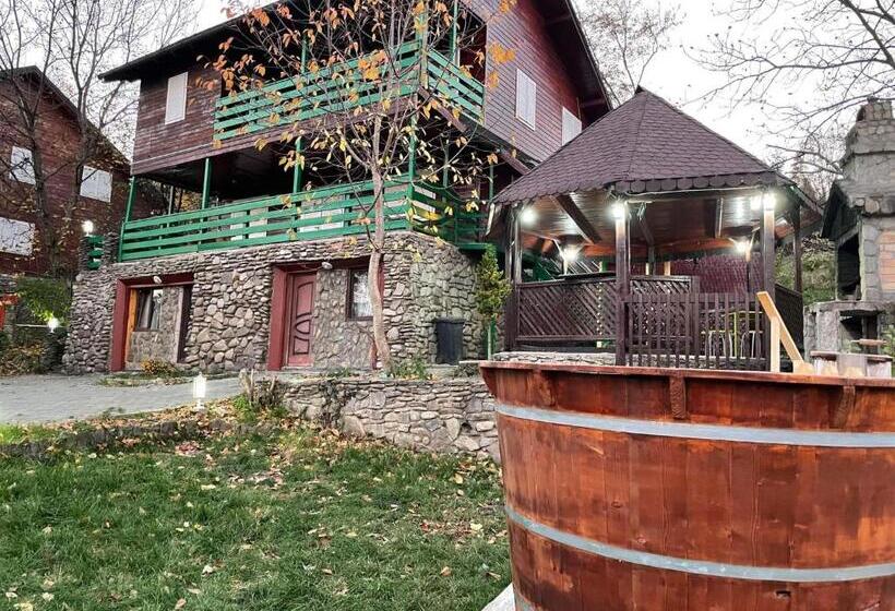 1间卧室的房子, Lake View