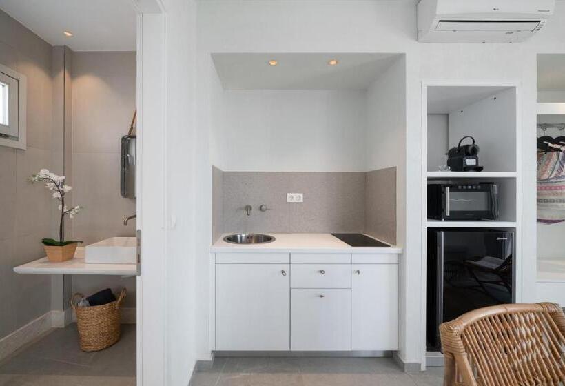 سوییت سوپریور با چشم‌انداز دریا, Arkasa Palace