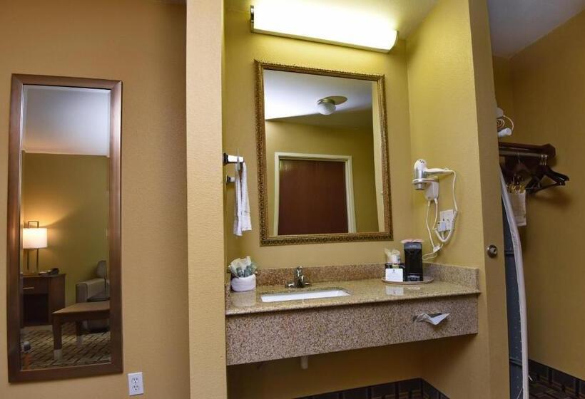 غرفة قياسية سرير كينج, Best Western Zachary Inn