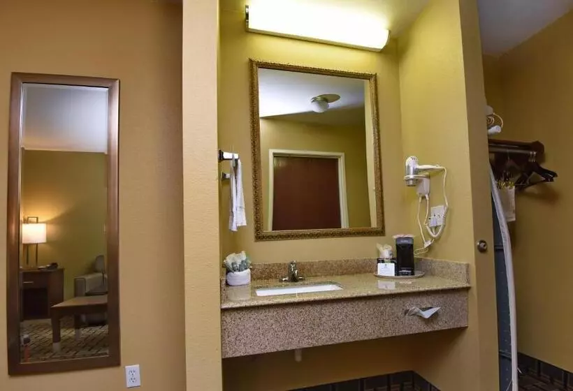キングサイズベッドのスタンダードルーム, Best Western Zachary Inn