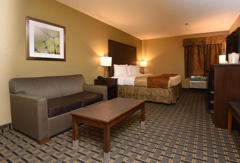 غرفة قياسية سرير كينج لذوى الإحتياجات الخاصة, Best Western Zachary Inn