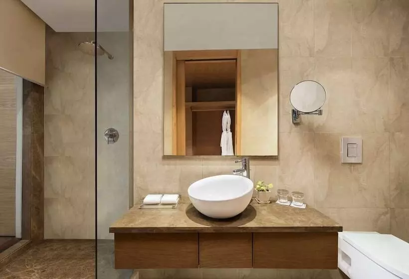 スーペリアールーム, Radisson Blu Hotel New Delhi Dwarka