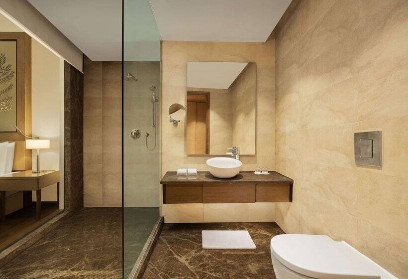 수피리어 룸, Radisson Blu Hotel New Delhi Dwarka