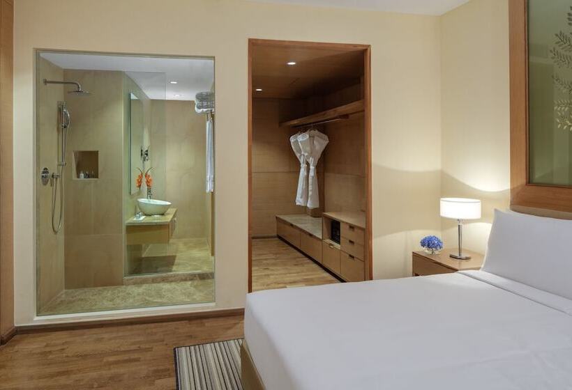 Номер Superior, Radisson Blu Hotel New Delhi Dwarka