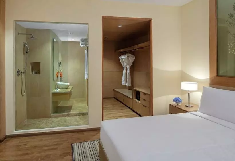 スーペリアールーム, Radisson Blu Hotel New Delhi Dwarka
