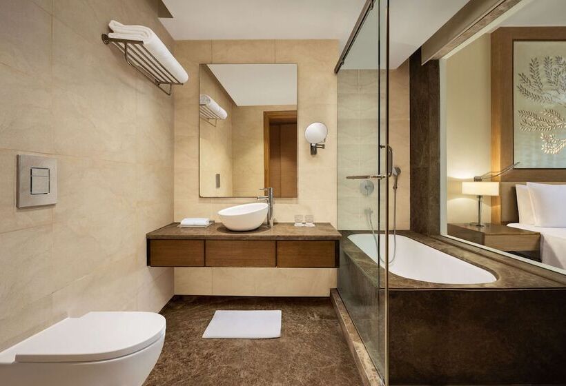 비즈니스룸, Radisson Blu Hotel New Delhi Dwarka