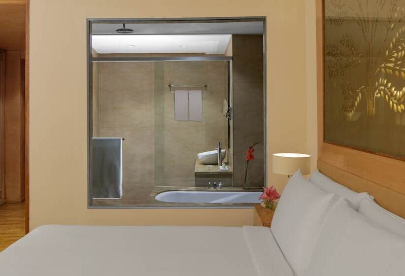 비즈니스룸, Radisson Blu Hotel New Delhi Dwarka