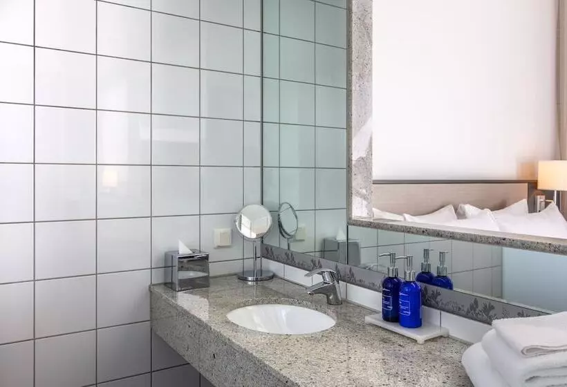 اتاق استاندارد با چشمانداز شهر, Radisson Blu Hotel Uppsala