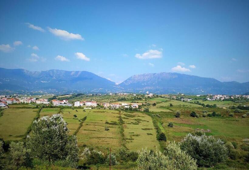 غرفة قياسية, Viktoria Tirana