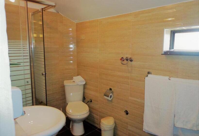 חדר משפחתי, Viktoria Tirana