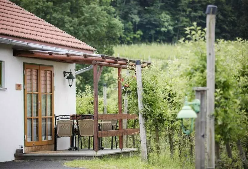 １ベッドルームアパートメント, Jufa Hotel Tieschen