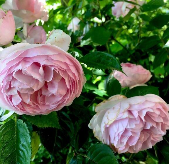 חדר סטנדרט, Monfrà   Ospitalità Rurale, Vigneti E Cantina