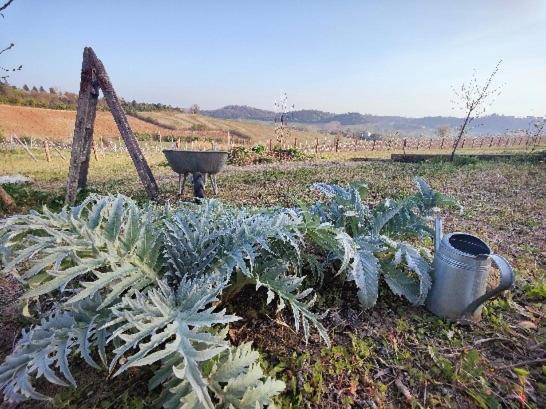 חדר סטנדרט, Monfrà   Ospitalità Rurale, Vigneti E Cantina