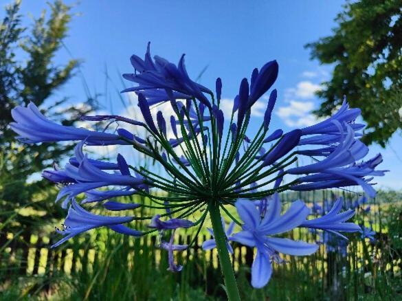 חדר סטנדרט, Monfrà   Ospitalità Rurale, Vigneti E Cantina