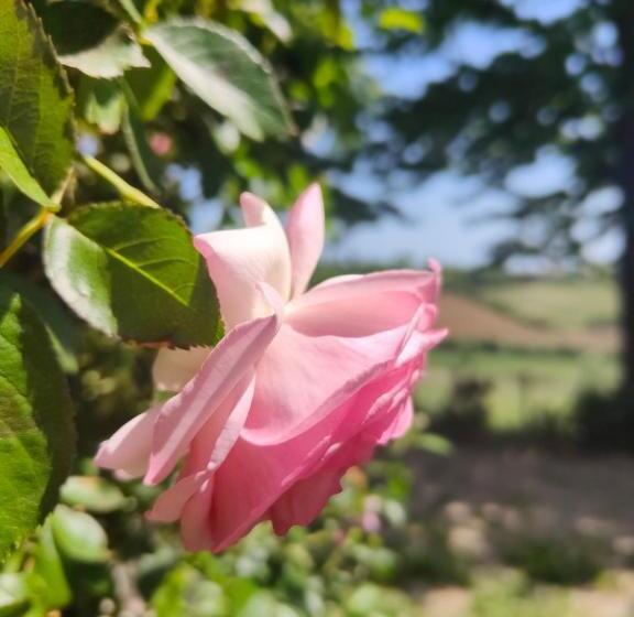 חדר סטנדרט, Monfrà   Ospitalità Rurale, Vigneti E Cantina