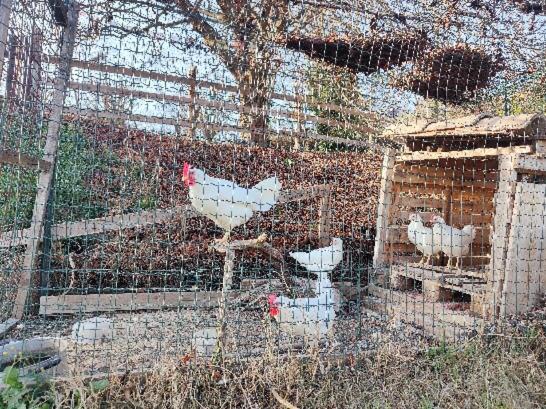 חדר סטנדרט, Monfrà   Ospitalità Rurale, Vigneti E Cantina