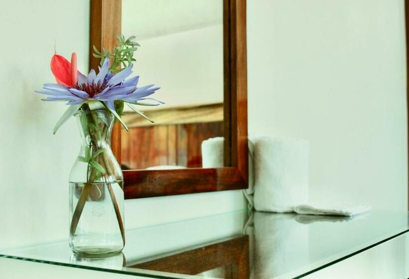 Apartament 1 Sypialnia, Lidxi Rosae