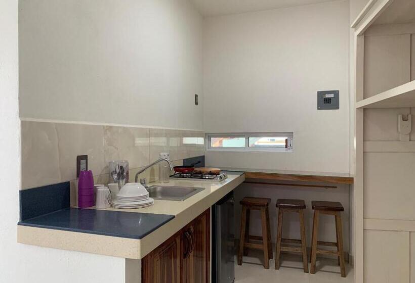 Apartament 1 Sypialnia, Lidxi Rosae