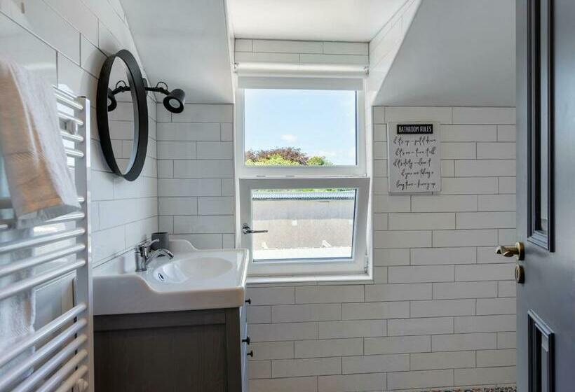 1침실 펜트하우스 아파트, Macs Townhouse Dungarvan