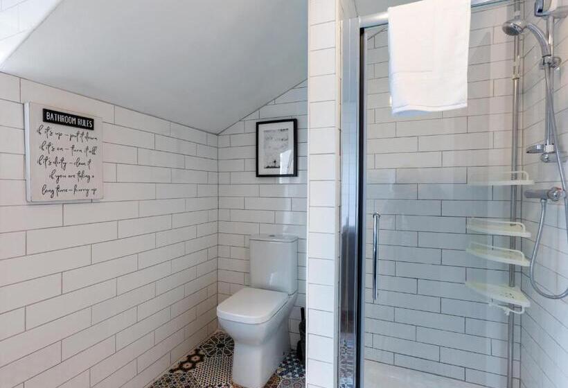 Апартаменты Пентхаус 1 Спальня, Macs Townhouse Dungarvan