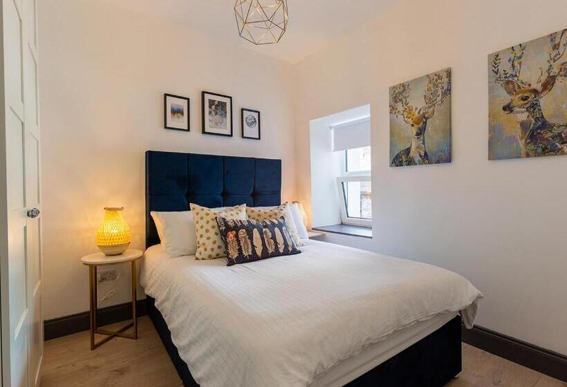 침실 1개 디럭스 아파트, Macs Townhouse Dungarvan