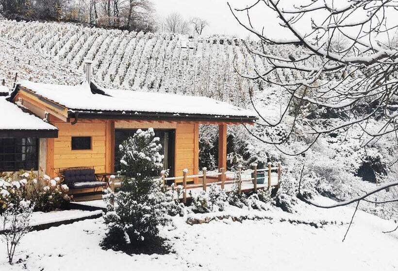 一居室别墅, L étang De La Tourne