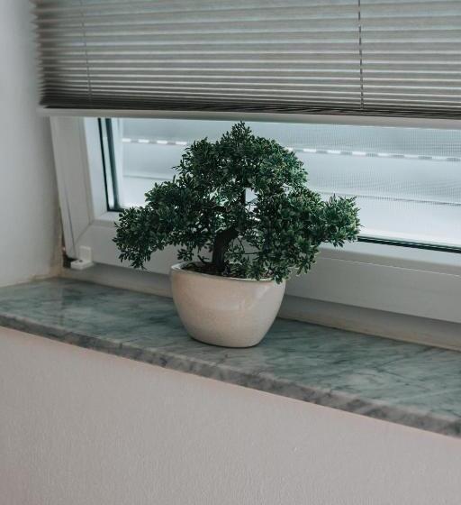 Номер Стандарт Индивидуальный, Three Corners