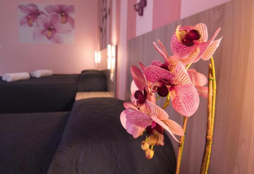 标准间, B&b Il Giardino Dei Sogni