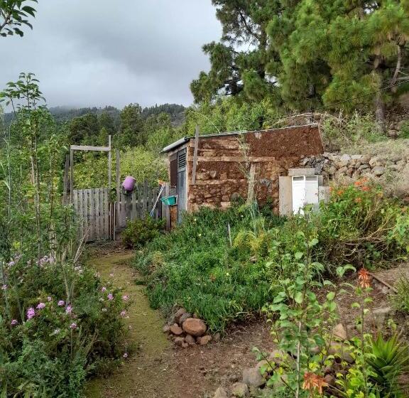 کلبه ییلاقی, Abracaribes