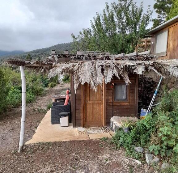 خانه 1 خوابه, Abracaribes