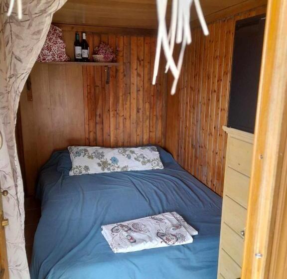 خانه 1 خوابه, Abracaribes