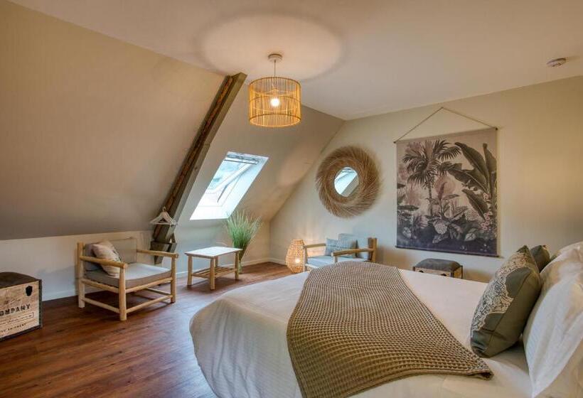 غرفة قياسية, O Myosotis