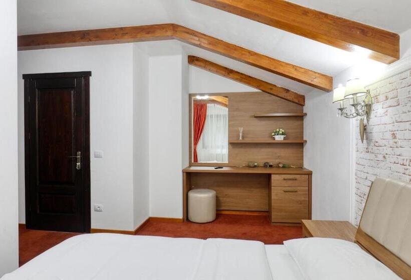 标准间带阳台, Ivascu