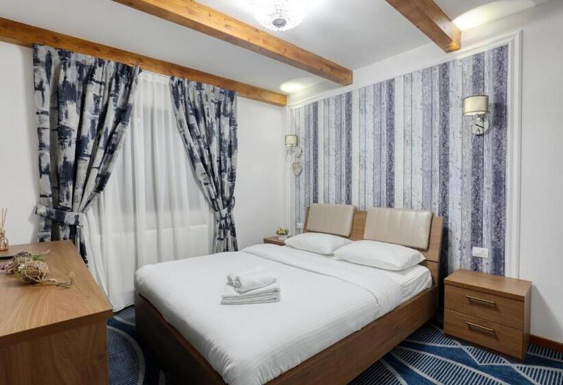 标准间带阳台, Ivascu