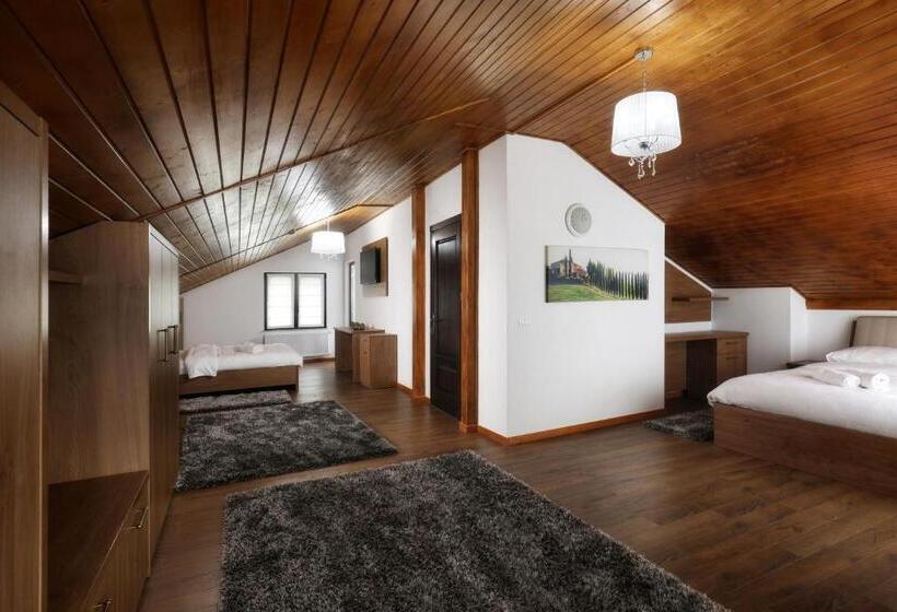 带1个卧室的豪华公寓, Ivascu