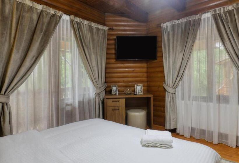 带1个卧室带观景的公寓, Ivascu