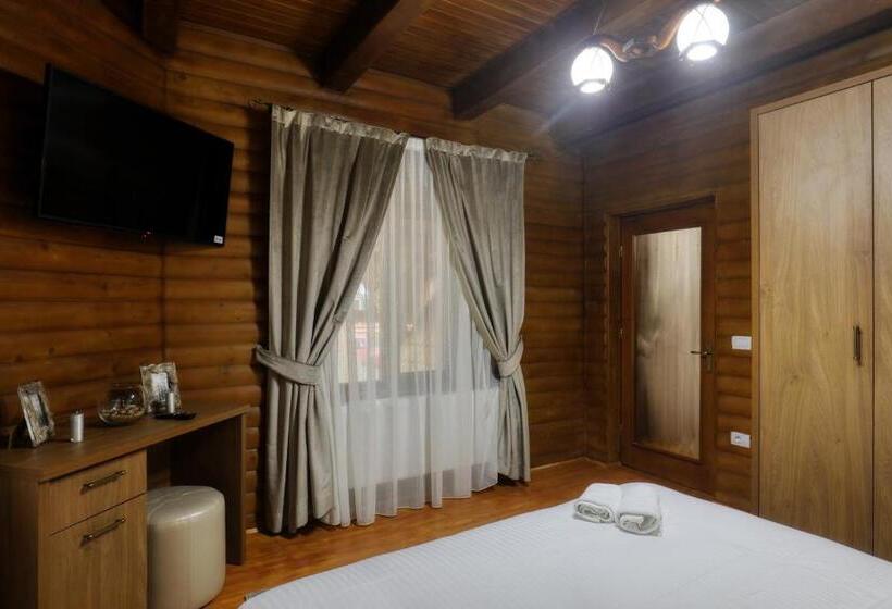 带1个卧室带观景的公寓, Ivascu