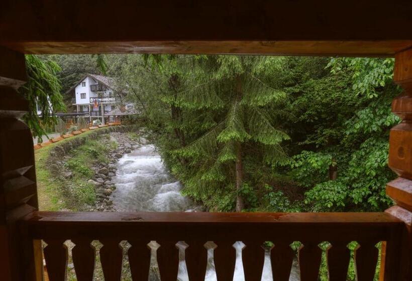 带1个卧室带观景的公寓, Ivascu