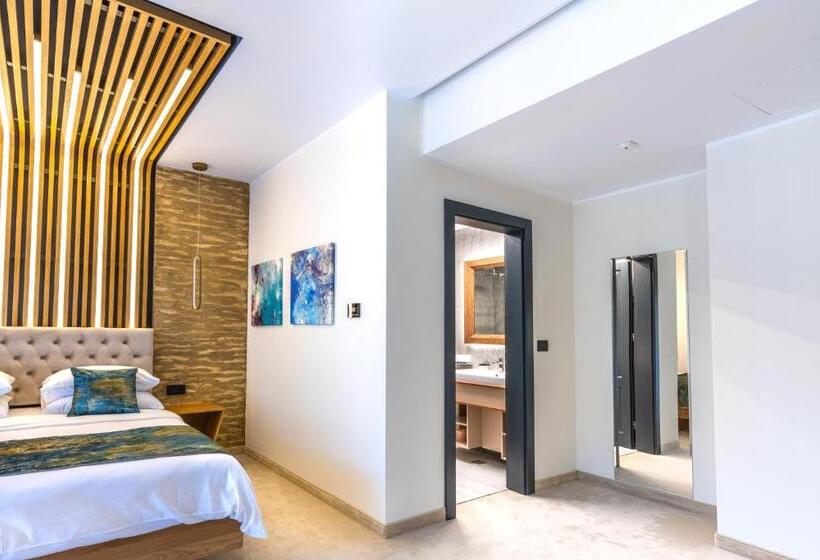 豪华房间, Ivascu