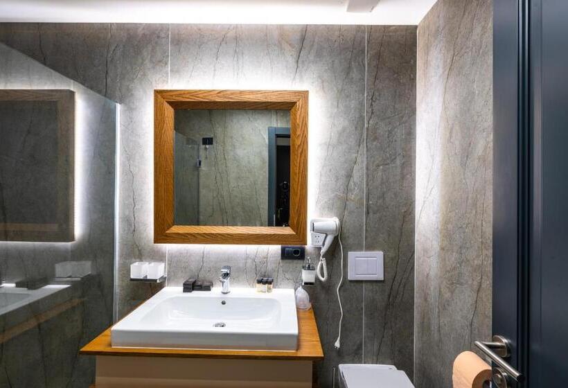 豪华房间, Ivascu