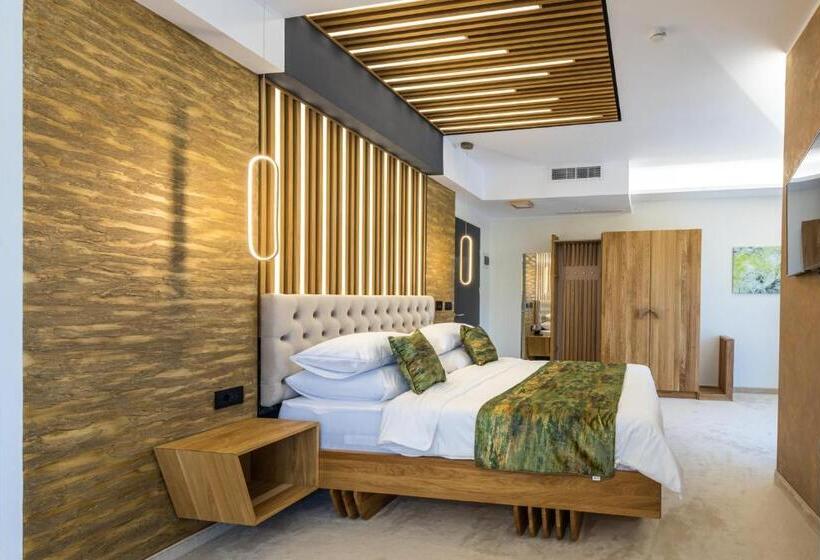 豪华套房, Ivascu