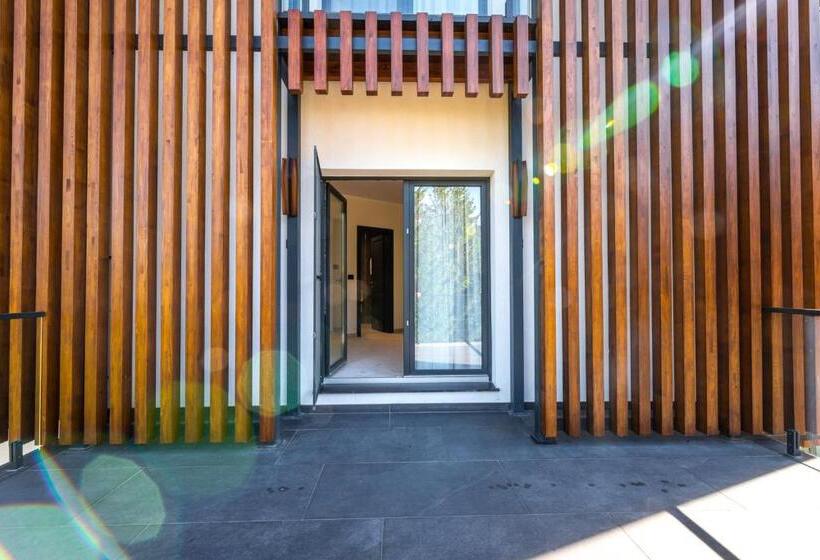 带阳台套房, Ivascu