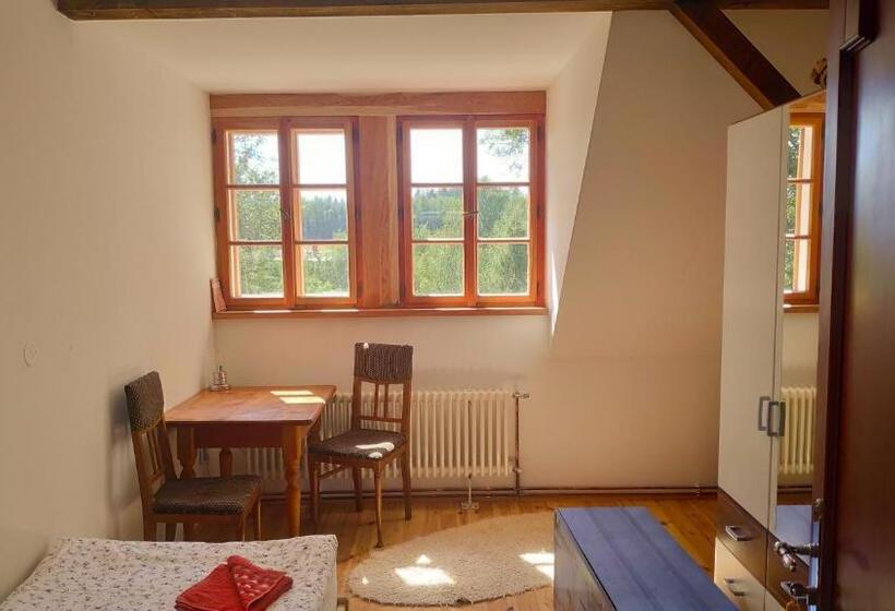 Номер Стандарт, Pension Hermína