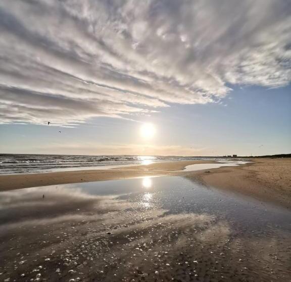 标准单人间, Villa Harmonie