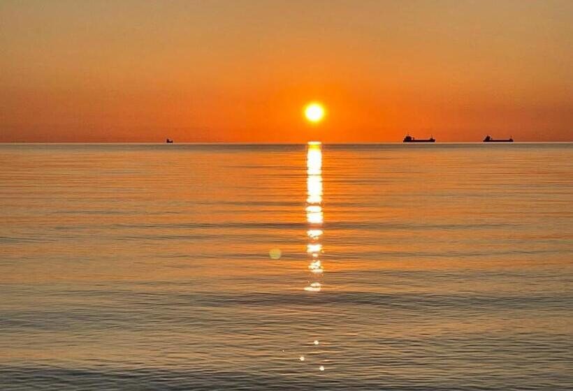 标准单人间, Villa Harmonie