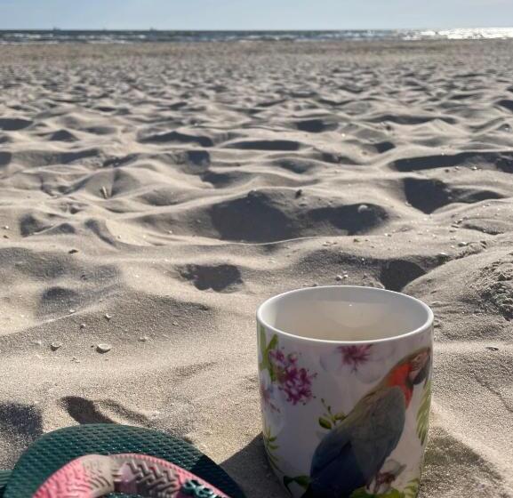 标准单人间, Villa Harmonie