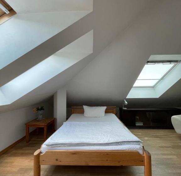 标准单人间, Villa Harmonie